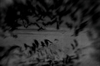 2012-10-16-36-3