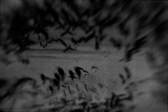2012-10-16-36-3