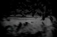 2012-10-16-36