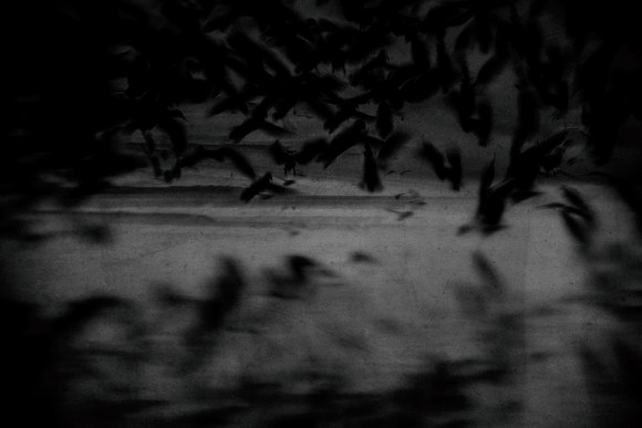 2012-10-16-36