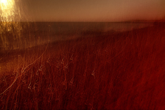sea of blood #4