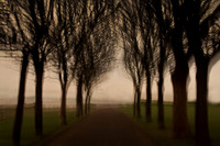 woman and tree 1