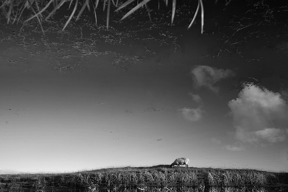 Reflection 1