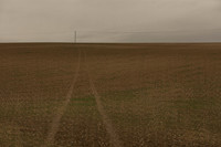 field 2 #4