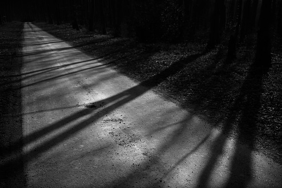 shadows #1