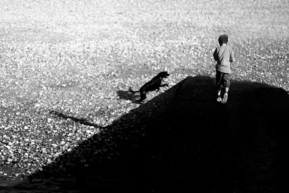 Boy and dog 2