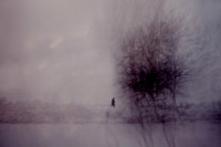 winter 2