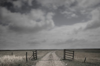 home 6