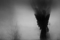 afterlife #12