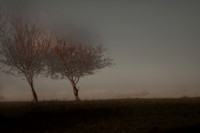 autumn #13