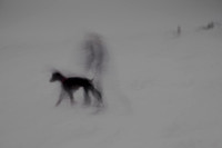 winter 9