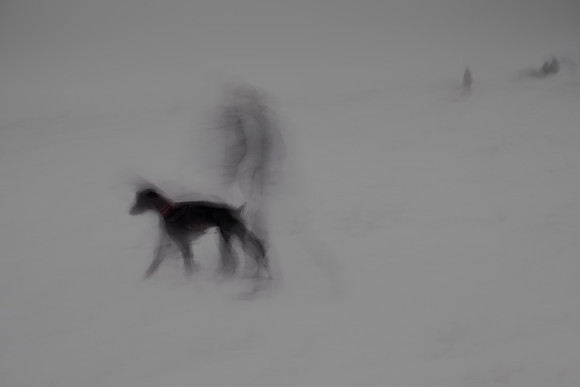 winter 9