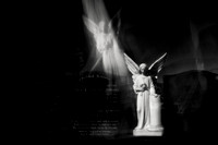 afterlife #22