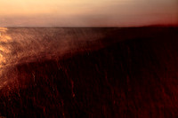 sea of blood #14