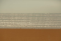wave #230