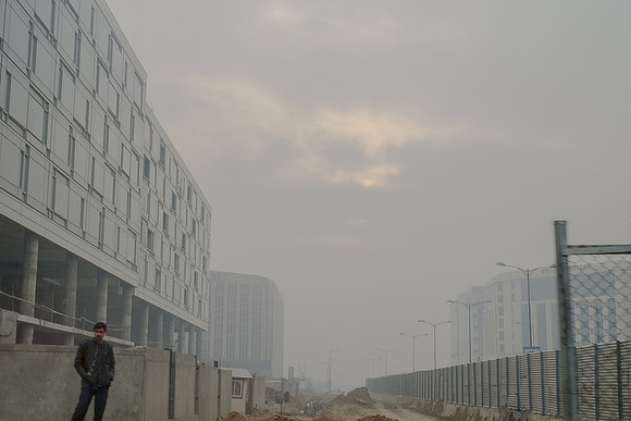 delhi #1272