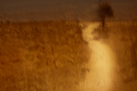 atlantic coast #2