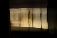framed 1 #253