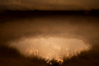 oare marshes #7
