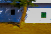 INDIA-3699