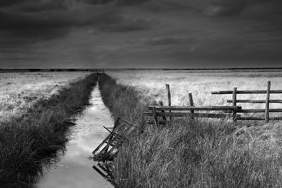 Fence