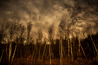 a xmas walk #2