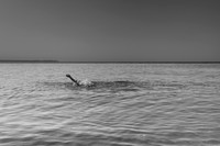 waving not drowning