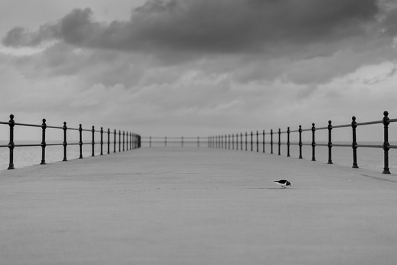 straight photography