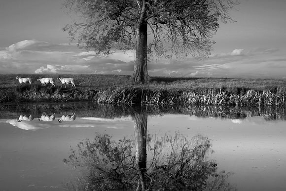 Reflection 3