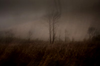 mist 5