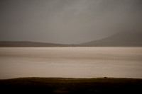 harris #6