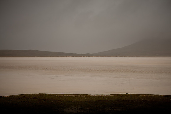 harris #6