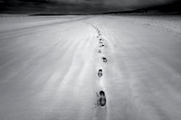 Steps
