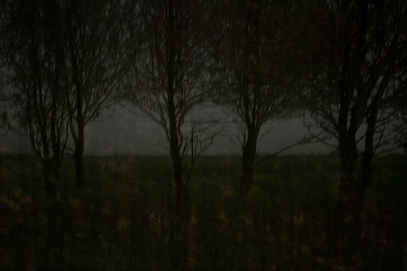 autumn #1