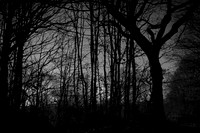 101214-55