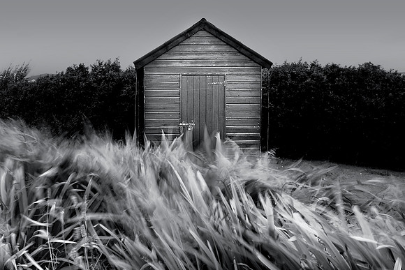 Shed