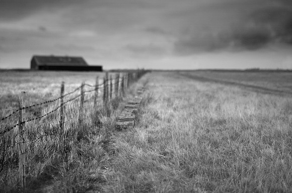 Farm