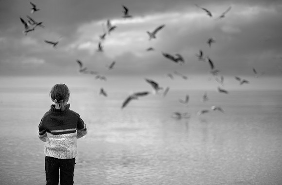 Feeding the birds