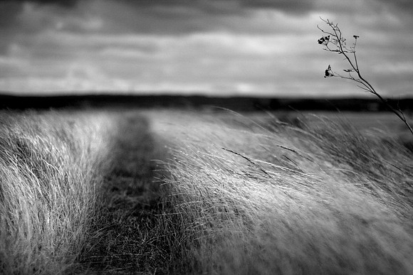Path