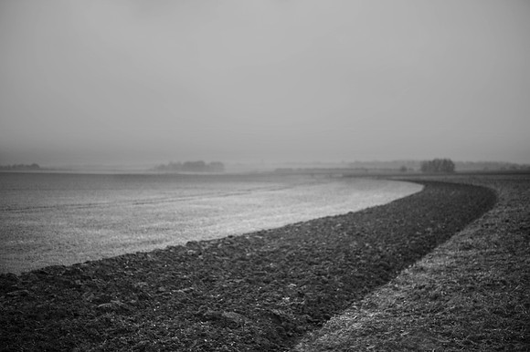 Mist