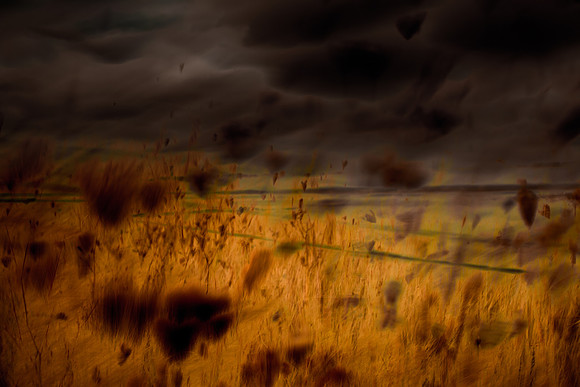 multiple exposure #5