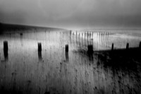 Beach blur 1
