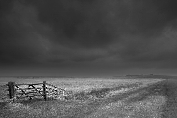 Gate in the rain