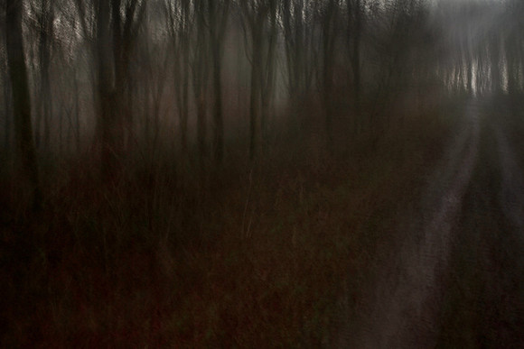 mist 1