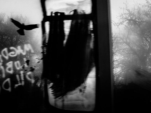 road to lodz #528