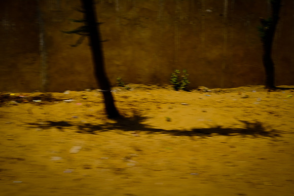 INDIA-10378