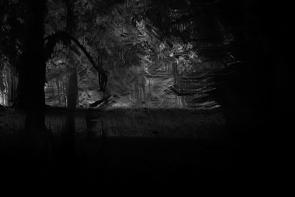 trees 36 #170