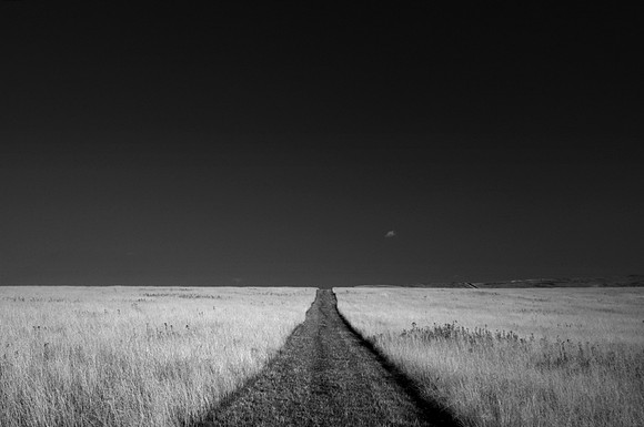 Path