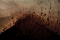 mountain #3