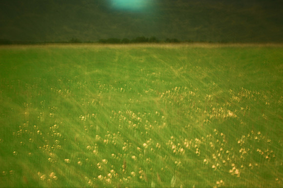 cf62 - field 1